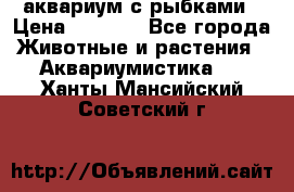 аквариум с рыбками › Цена ­ 1 000 - Все города Животные и растения » Аквариумистика   . Ханты-Мансийский,Советский г.